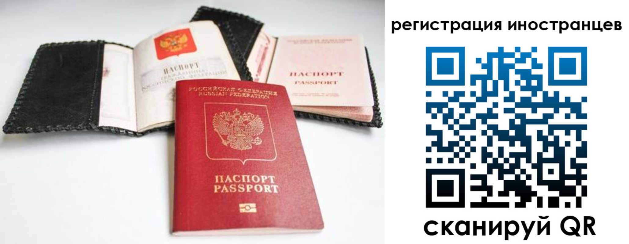 прописка гарантия в Элисте